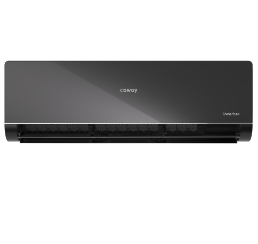coway p series