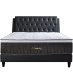 coway prime2 coway prime2